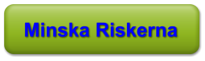 Minska Riskerna