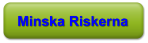 Minska Riskerna
