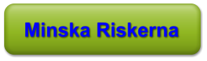 Minska Riskerna
