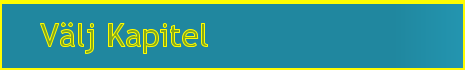 Vlj Kapitel